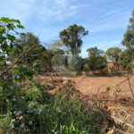 Terreno à venda em Jardim Itaipu, Ponta Porã, MS