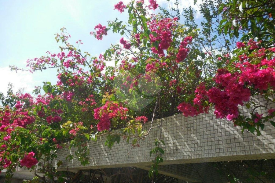 Casa Térrea à venda com 4 quartos, sendo 2 suítes, em Jardim Floresta, São Paulo, SP