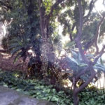 TERRENO EM ÓTIMA LOCALIZAÇÃO 760 METROS!