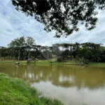 Casa à venda com 4 suítes no condomínio Jardim das Palmeiras, Bragança Paulista - SP