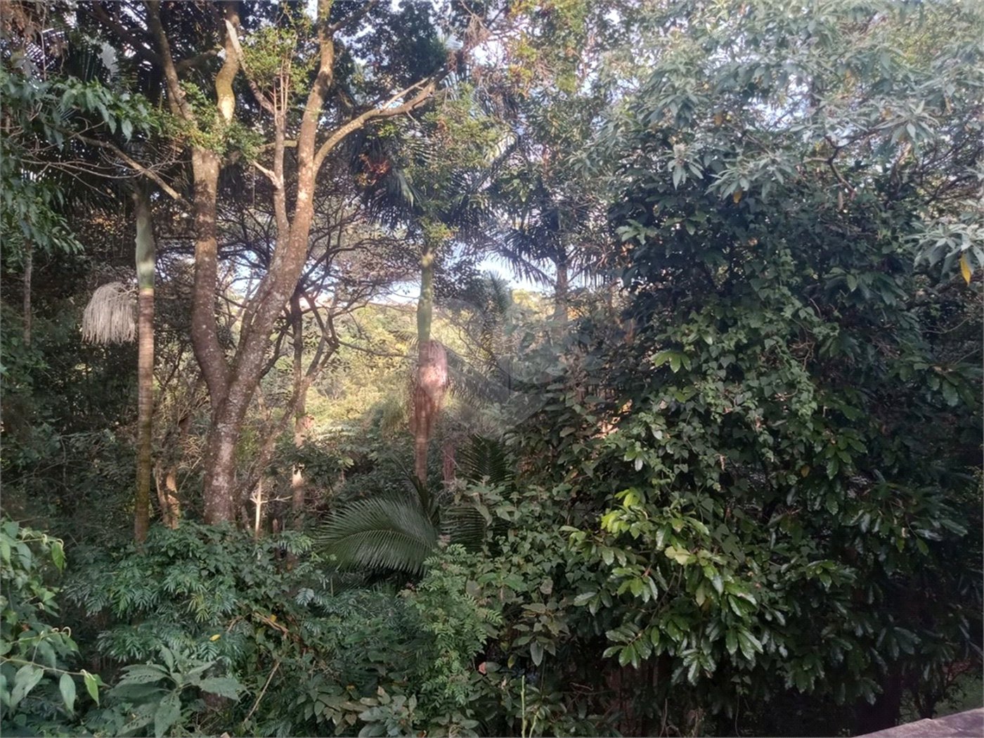 Chácara à venda com 7 quartos, sendo 3 suítes, em Saboó, São Roque, SP