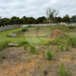 OPORTUNIDADE IMPERDÍVEL TERRENO PLANO COM 5000 M²
