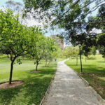Casa à venda com 4 suítes no condomínio Jardim Vitória Régia, São Paulo - SP