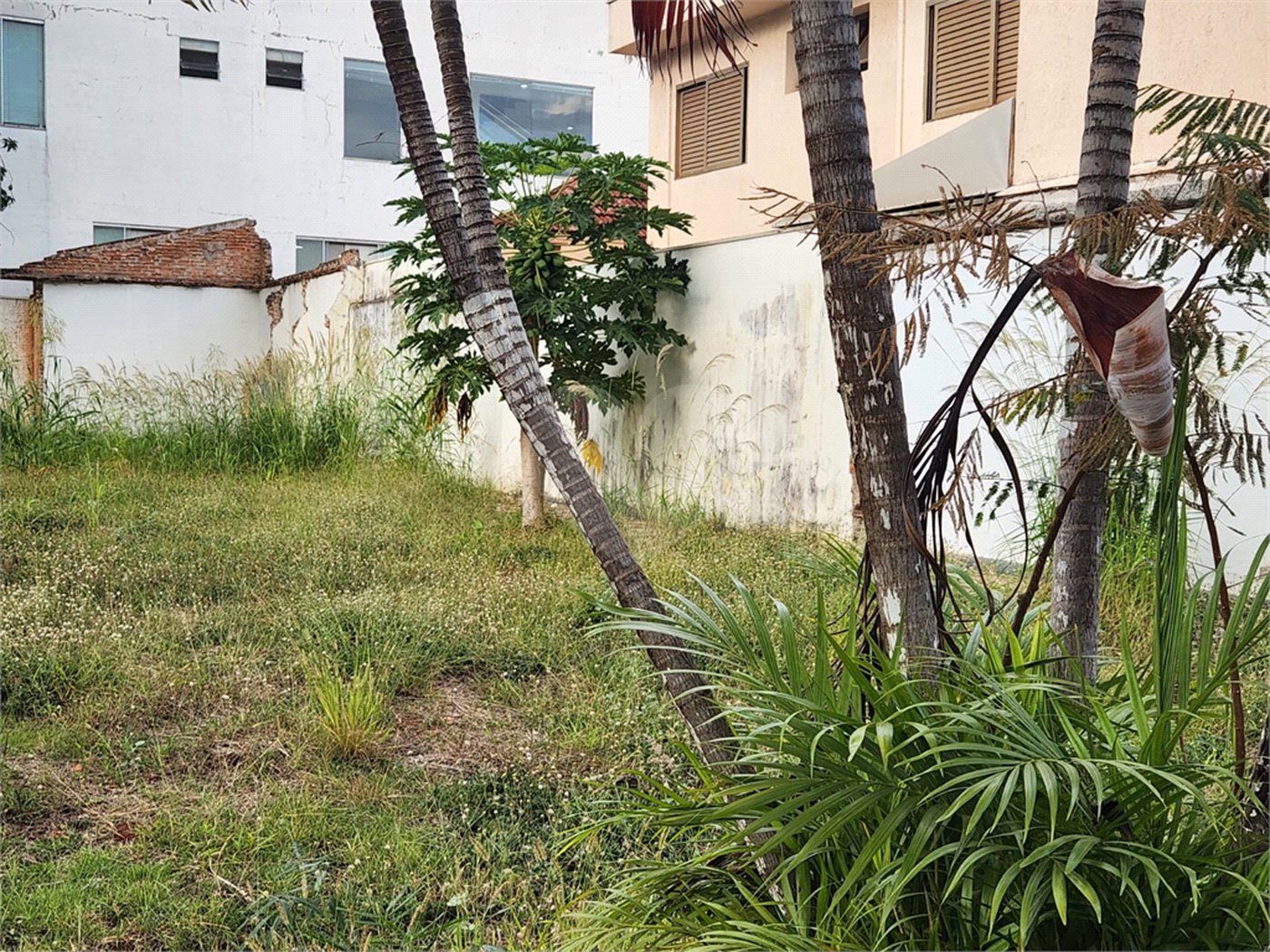 Terreno para alugar no Centro, Araraquara, SP