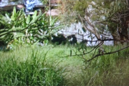 Terreno à venda ou para alugar no condomínio Giovanni Gronchi, São Paulo - SP