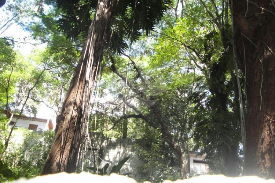 Terreno à venda em Barro Branco (zona Norte), São Paulo, SP