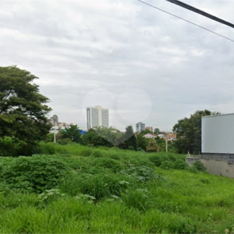 Terreno para alugar em Nova Aliança, Ribeirão Preto, SP