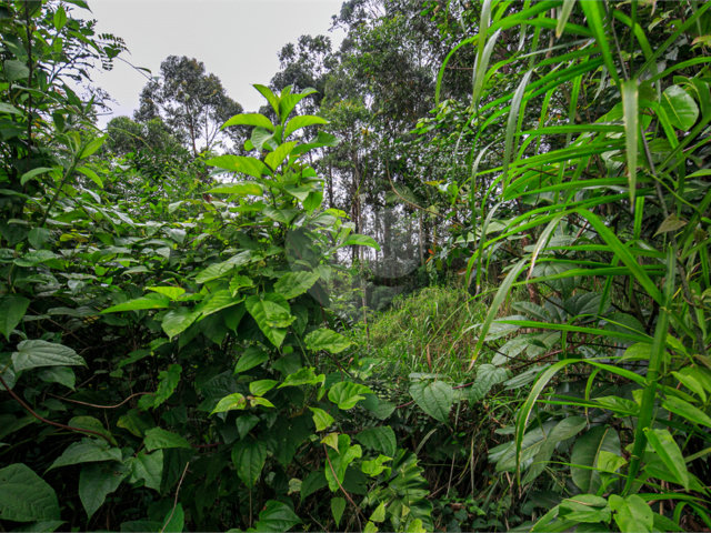 Terreno à venda em Morumbi, São Paulo, SP