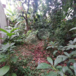 Terreno à venda em Vila Carmosina, São Paulo, SP