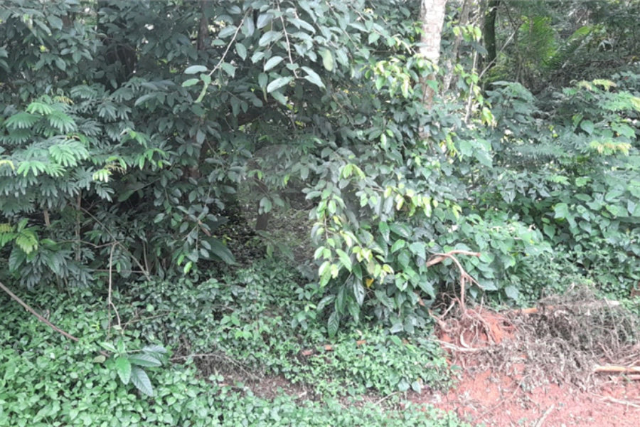 Terreno à venda em Roseira, Mairiporã, SP