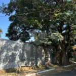 Terreno à venda em Alto da Boa Vista, São Paulo, SP