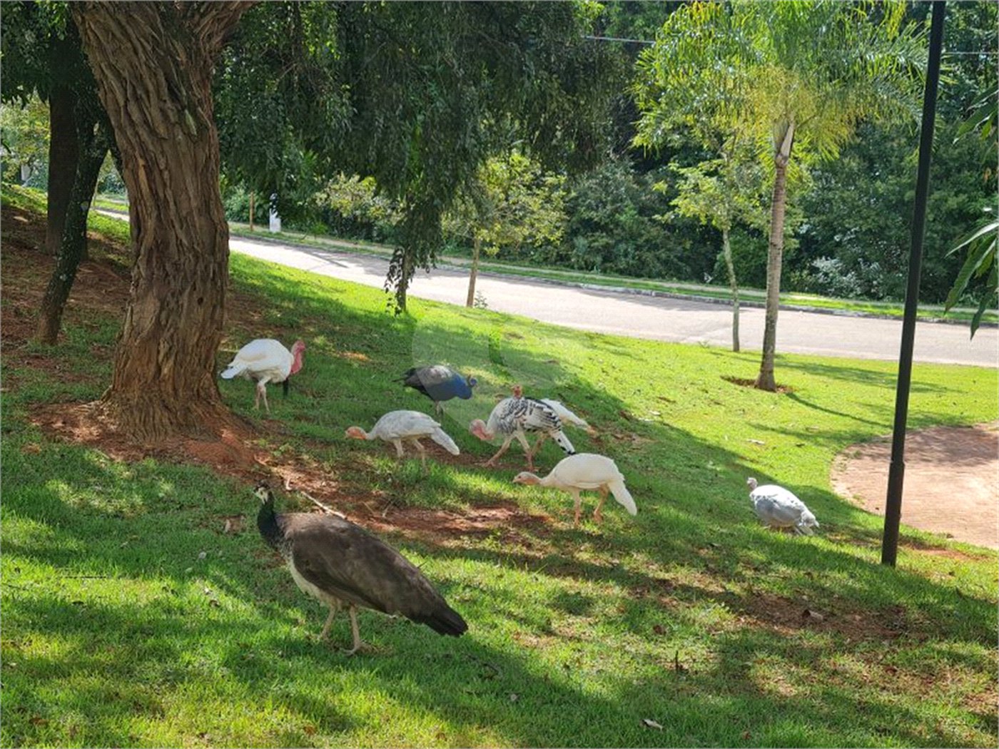 Terreno à venda no condomínio Golden Park Residence, Sorocaba - SP