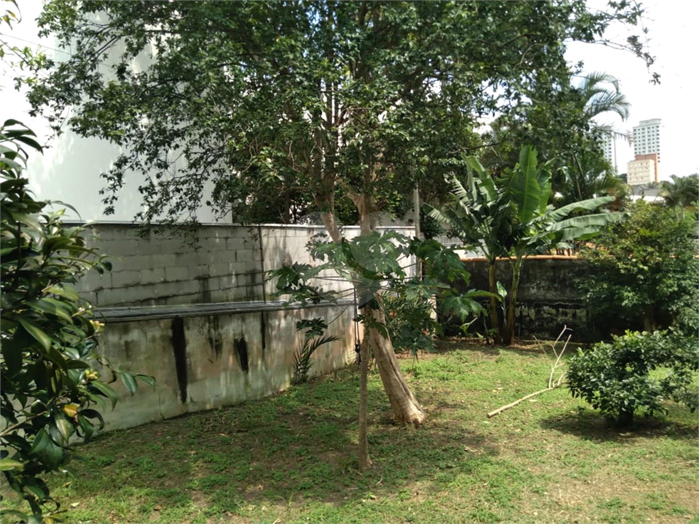 Casa Térrea à venda com 2 quartos em Casa Verde, São Paulo, SP