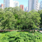 Apartamento à venda com 4 quartos, sendo 3 suítes,  em Vila Suzana, São Paulo, SP