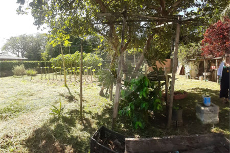 Terreno à venda em Vila Guido, Itu, SP