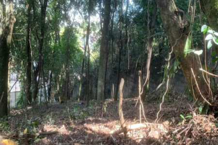 Terreno à venda em Jardim Peri Peri, São Paulo, SP