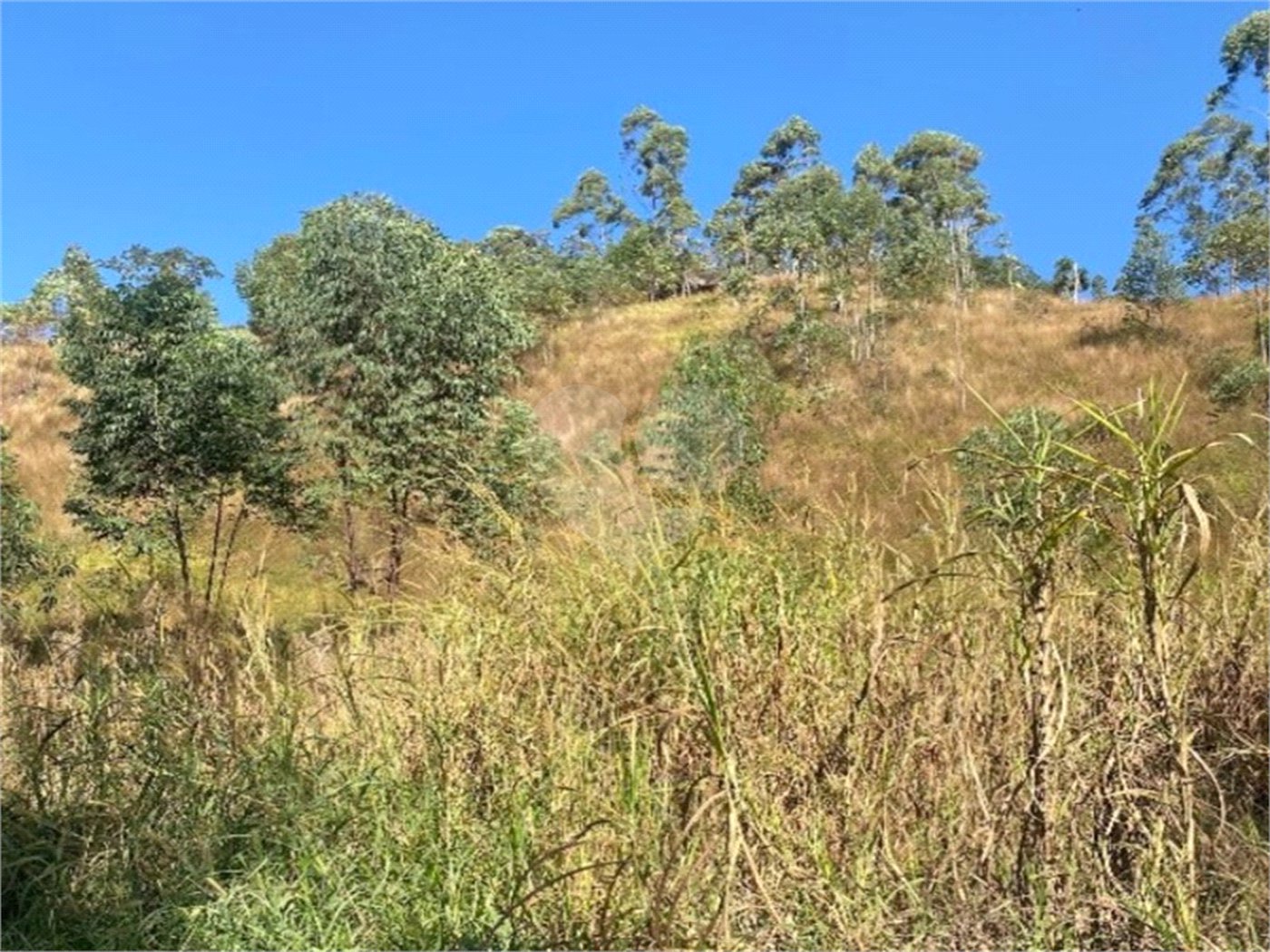 Terreno à venda em Caete (mailasqui), São Roque, SP