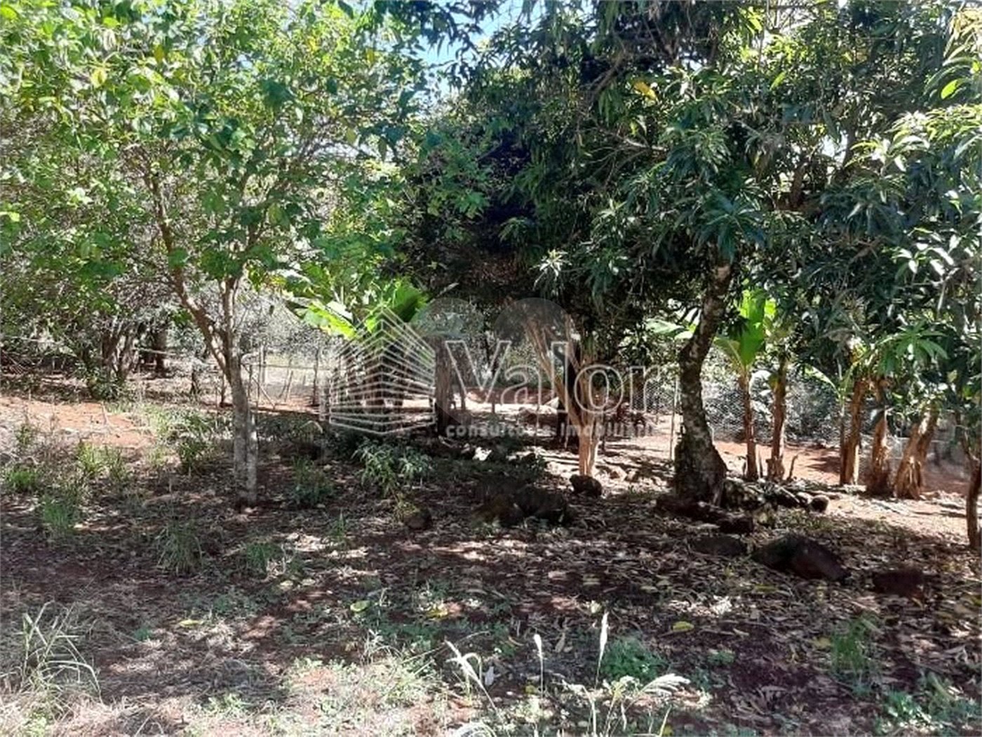 Sitio São João - Km 258