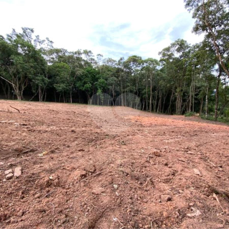 Área de Terra à venda em Sorocamirim (canguera), São Roque, SP