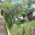Sítio à venda com 6 quartos, sendo 3 suítes, em Serra da Cantareira, Mairiporã, SP