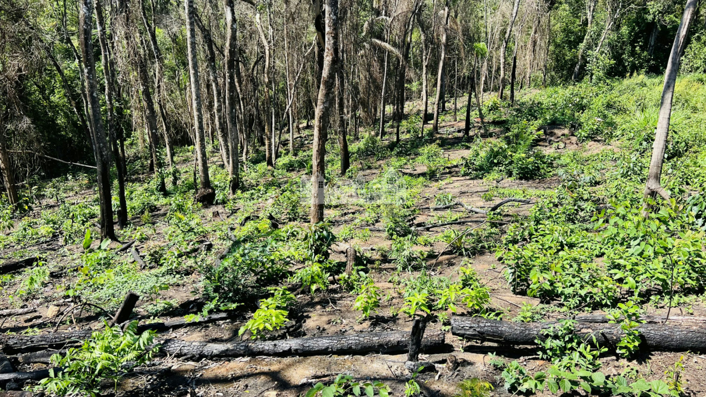 Loteamento à venda em Estância Santa Maria do Laranjal, Atibaia, SP