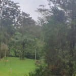 Sítio Residencial à venda, Vila Real Moinho Velho, Embu das Artes - SI0007.