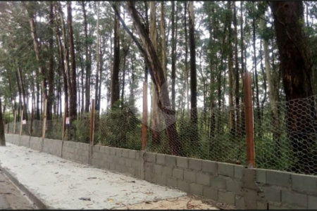 Terreno à venda em Colônia (zona Leste), São Paulo, SP