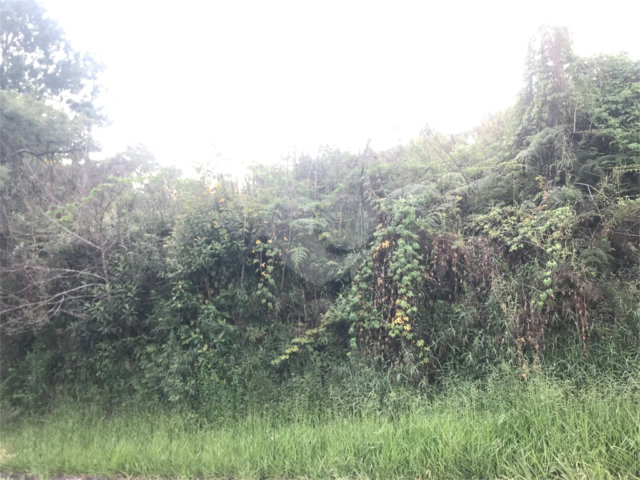 Terreno à venda em Serra da Cantareira, Mairiporã, SP
