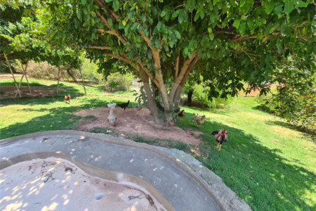 Chácara à venda com 4 quartos, sendo 2 suítes, em Parque Valinhos, Valinhos, SP