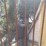Sobrado à venda com 3 quartos, sendo 1 suíte, em Santa Teresinha, São Paulo, SP