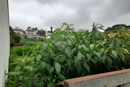 Terreno à Venda no Bairro Nobre Parque Santa Mônica