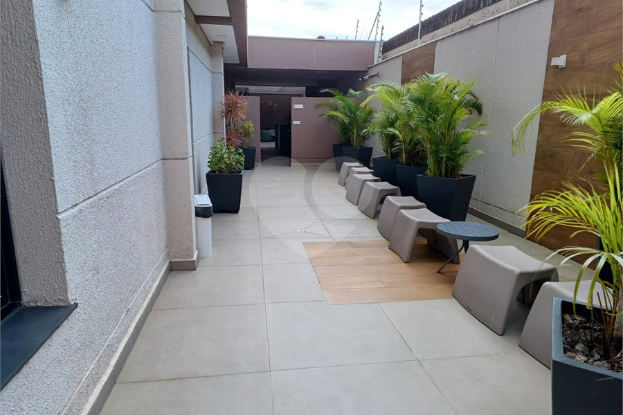Apartamento para alugar com 2 quartos, sendo 1 suíte, em Tucuruvi, São Paulo, SP