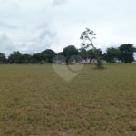 Lote Residencial no Condomínio Vila Pinhal do Broa.