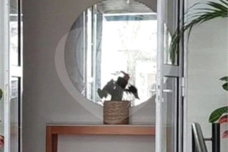 Apartamento à venda com 2 quartos em Jardins do Império, Indaiatuba, SP