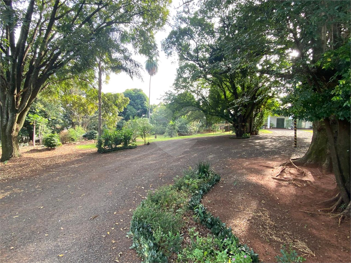 Terreno à venda com 1 suíte no Centro, Araraquara, SP