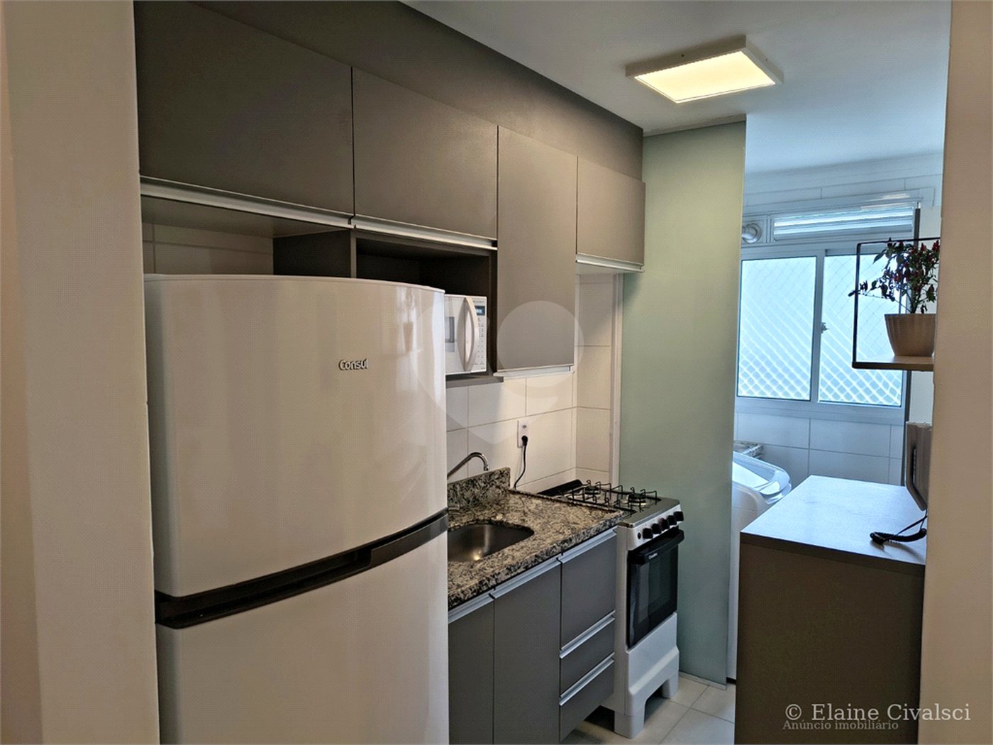 Apartamento para alugar com 2 quartos em Pirituba, São Paulo, SP