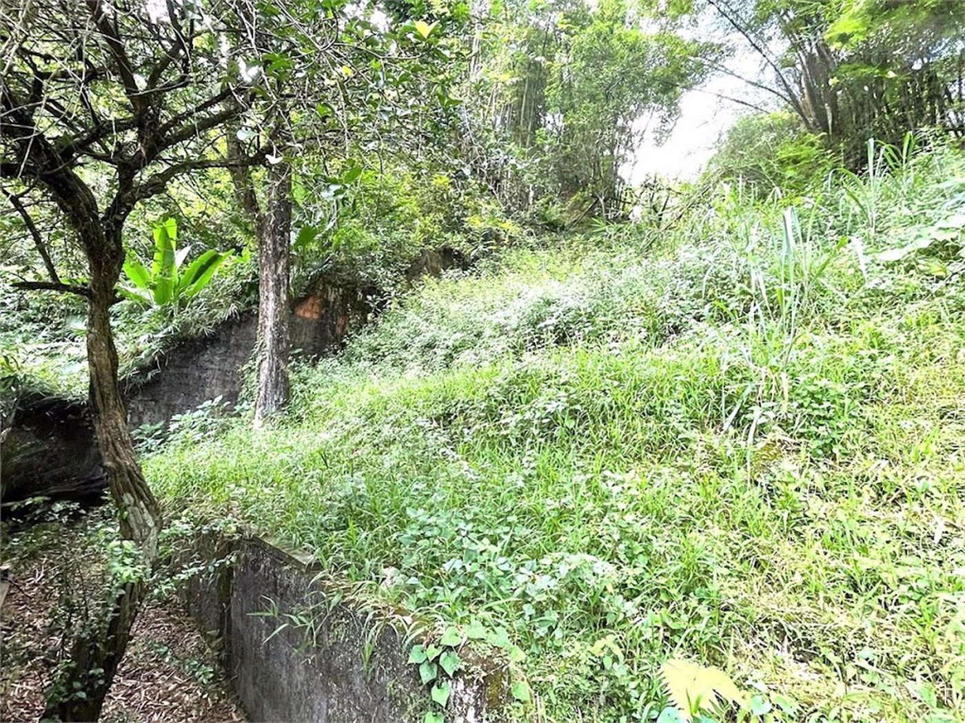 Terreno Residencial à venda, Morro de Nova Cintra, Santos - TE0034.