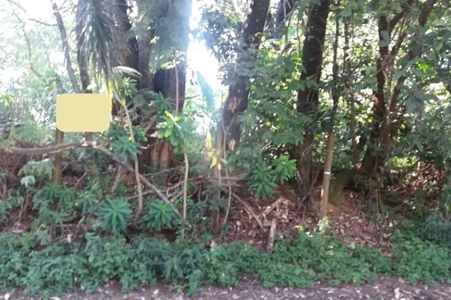 Terreno à venda em Tremembé, São Paulo, SP