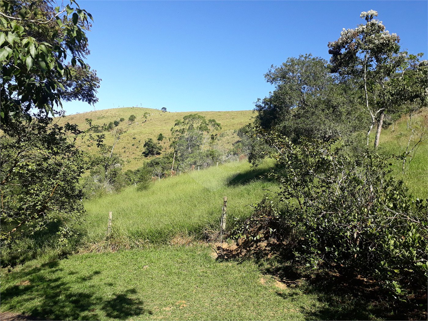 Sítio à venda com 9 quartos, sendo 7 suítes, no Centro, Monteiro Lobato, SP