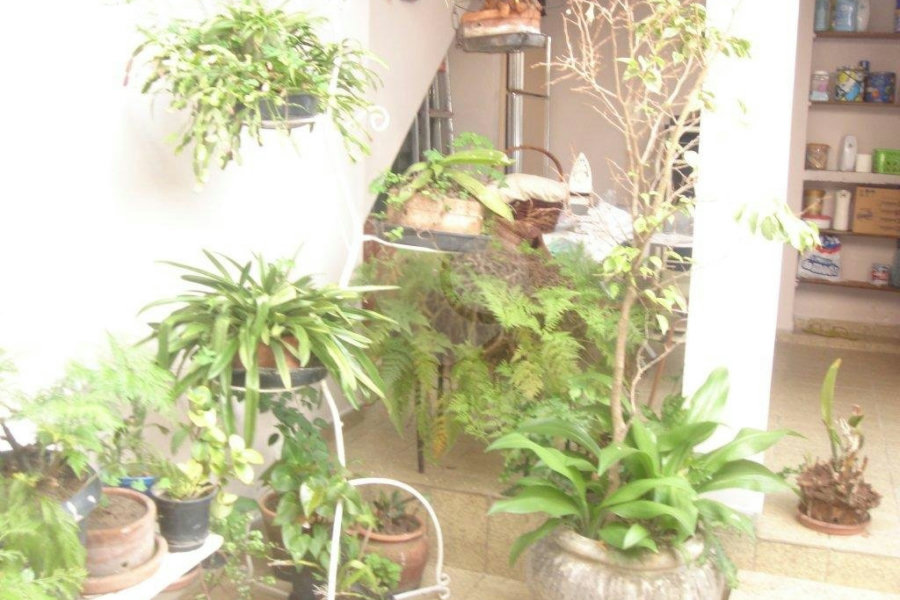 Sobrado à venda com 3 quartos em Casa Verde, São Paulo, SP