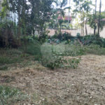 Terreno à venda com 1 suíte em Alto da Boa Vista, São Paulo, SP