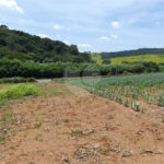 Área de Terra à venda em Paraíso das Aves, Itatiba, SP