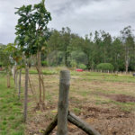 Terreno à venda no condomínio Ninho Verde, Porangaba - SP