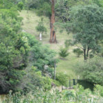 Chácara à venda com 2 quartos, sendo 1 suíte, em Santa Cândida, Vinhedo, SP
