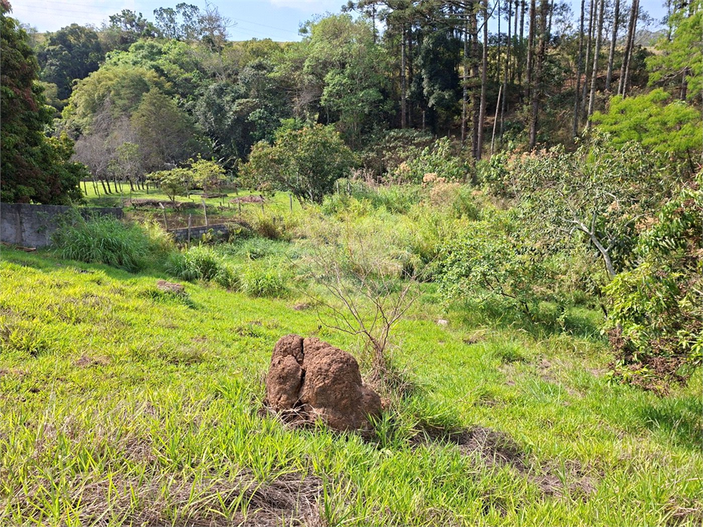 Terreno à venda em Chácara Fernão Dias, Bragança Paulista, SP