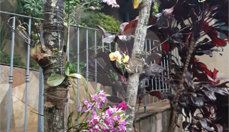Sobrado à venda com 3 quartos, sendo 1 suíte,  em Vila Mazzei, São Paulo, SP