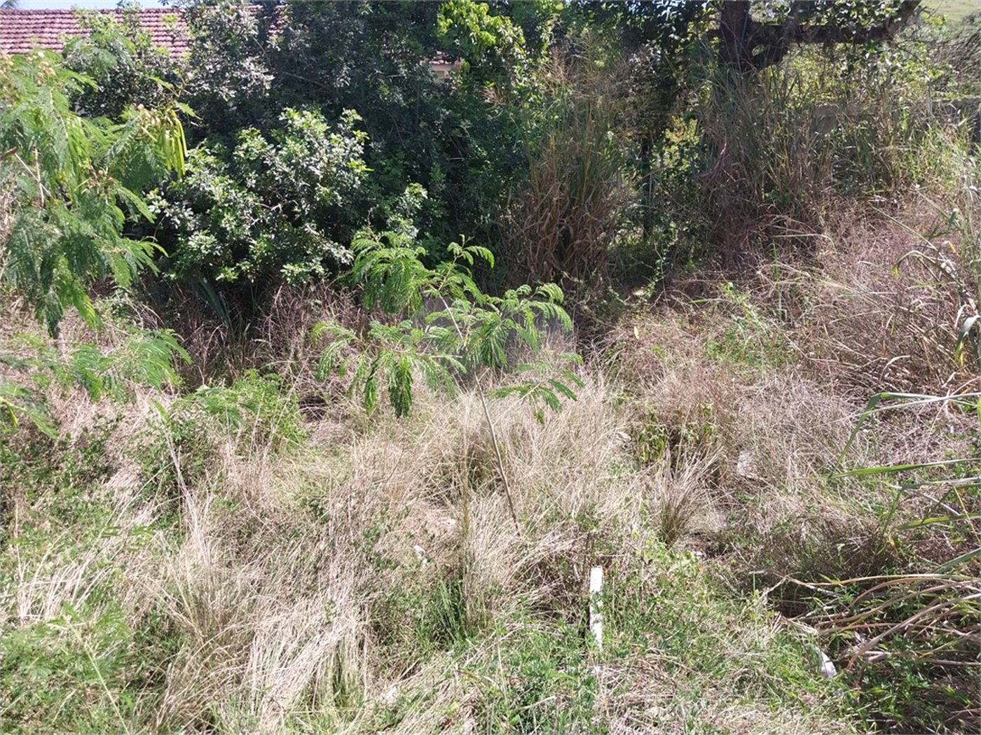 Terreno à venda em Campo Grande, Rio de Janeiro, RJ