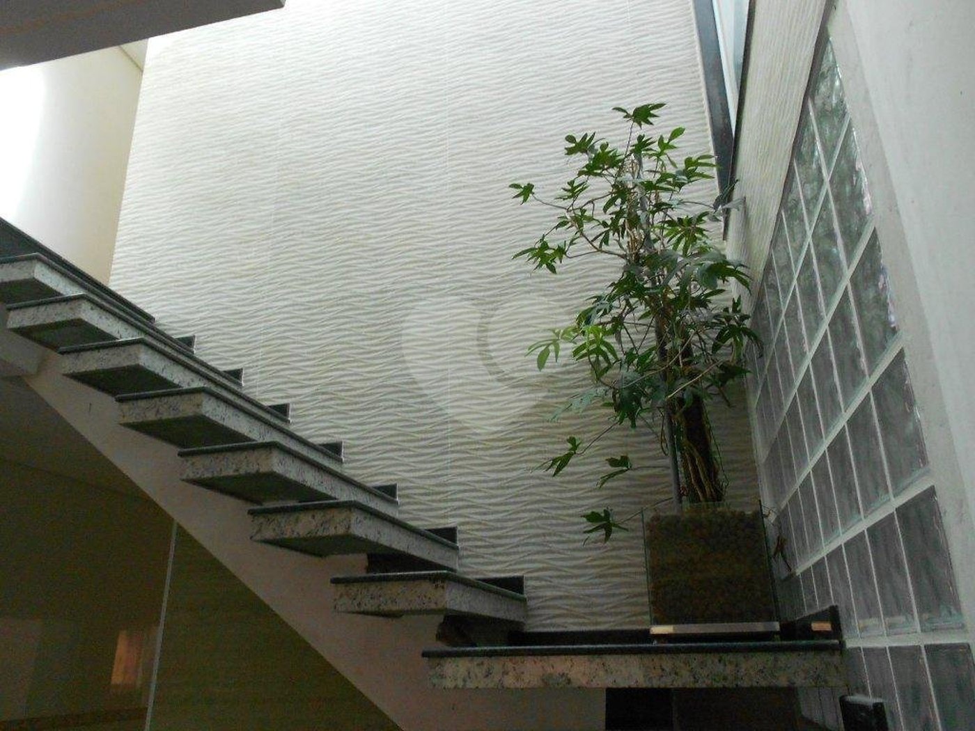Sobrado à venda com 3 suítes em Vila Gustavo, São Paulo, SP