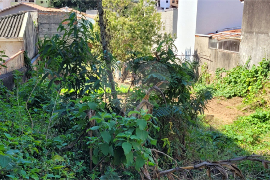 Terreno à venda em Tucuruvi, São Paulo, SP