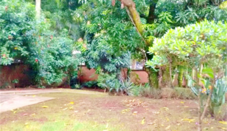 Casa Térrea à venda com 3 quartos, sendo 1 suíte,  em Mandaqui, São Paulo, SP